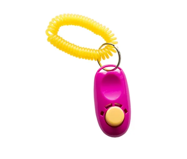 Clicker with spiral wristband assorteret farve