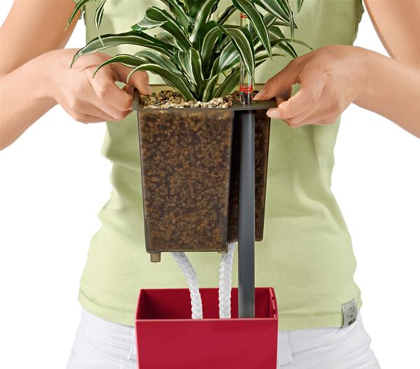 LECHUZA® MAXI/MINI-CUBI, All-in-One-Set,
