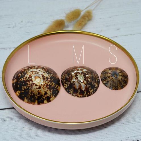 Coquillages d'allaitement - Taille L Marron - IRREVERSIBLE BIJOUX