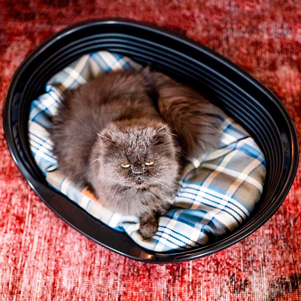 Coussin rembourré pour chiens et chats scott 55/4, double-face, écossais, velours doux, lavable, marron