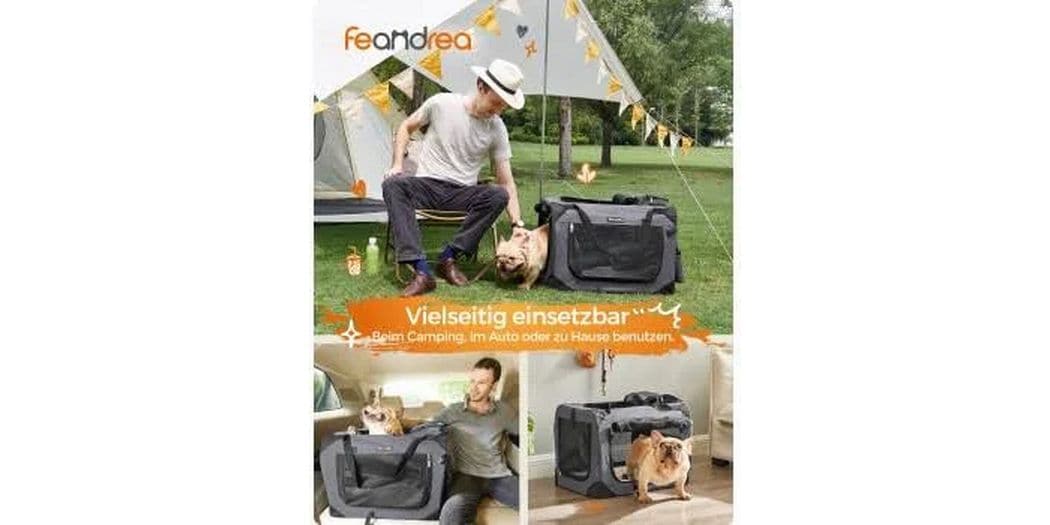 Feandrea Transportbox für Hunde & Katzen S Tierbox zum Tragen von Haustieren