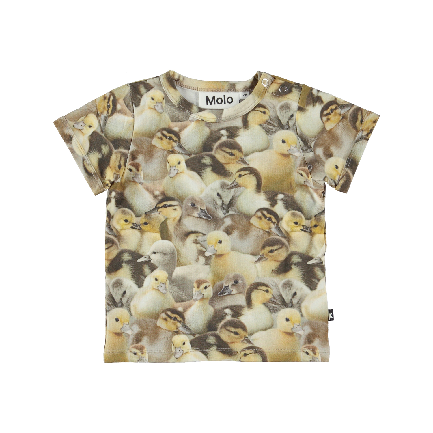 Easy - Ducklings