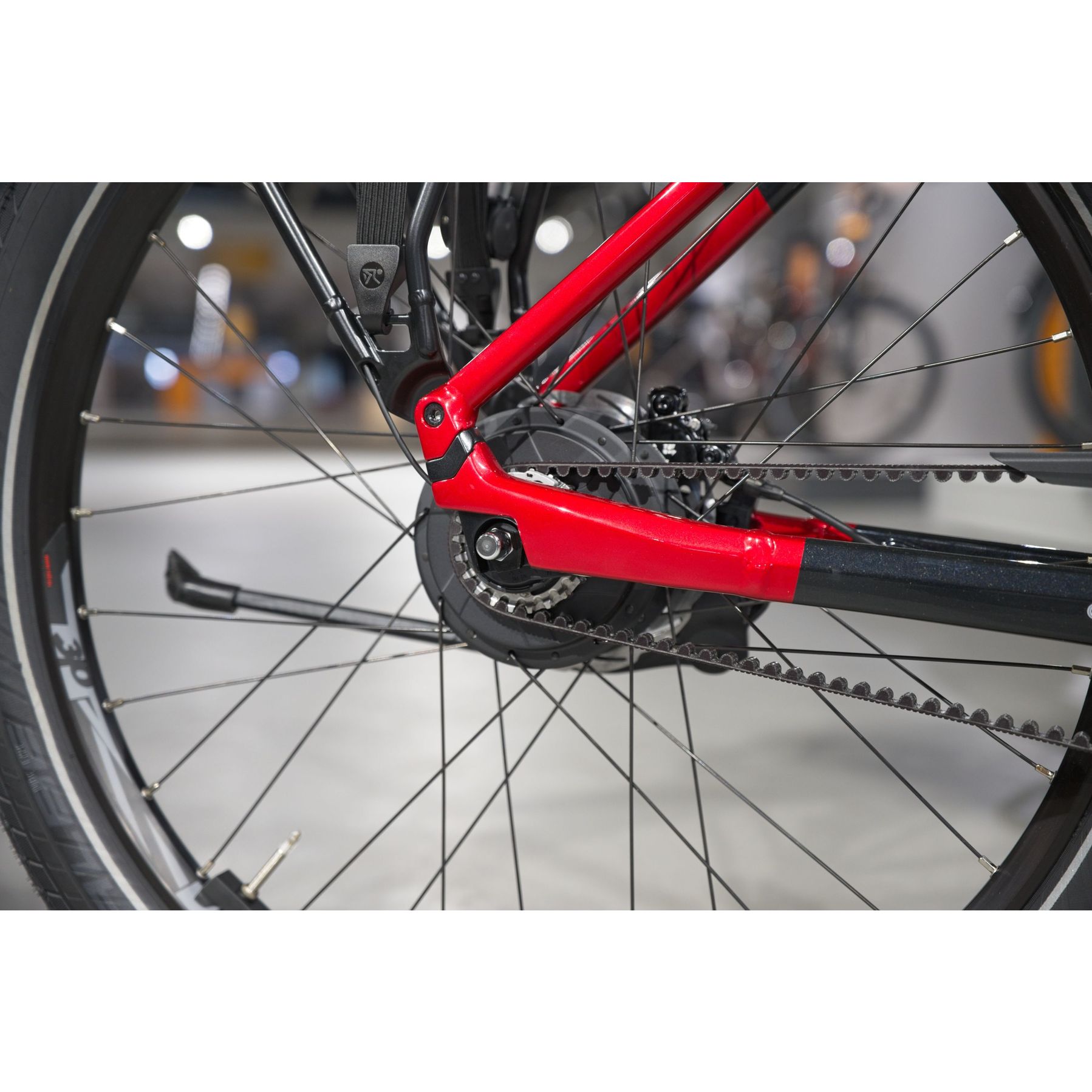 Koga Pace B10 Suspension 2025