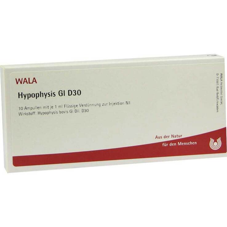 Hypophysis GL D 30 Ampullen, 10X1 ml