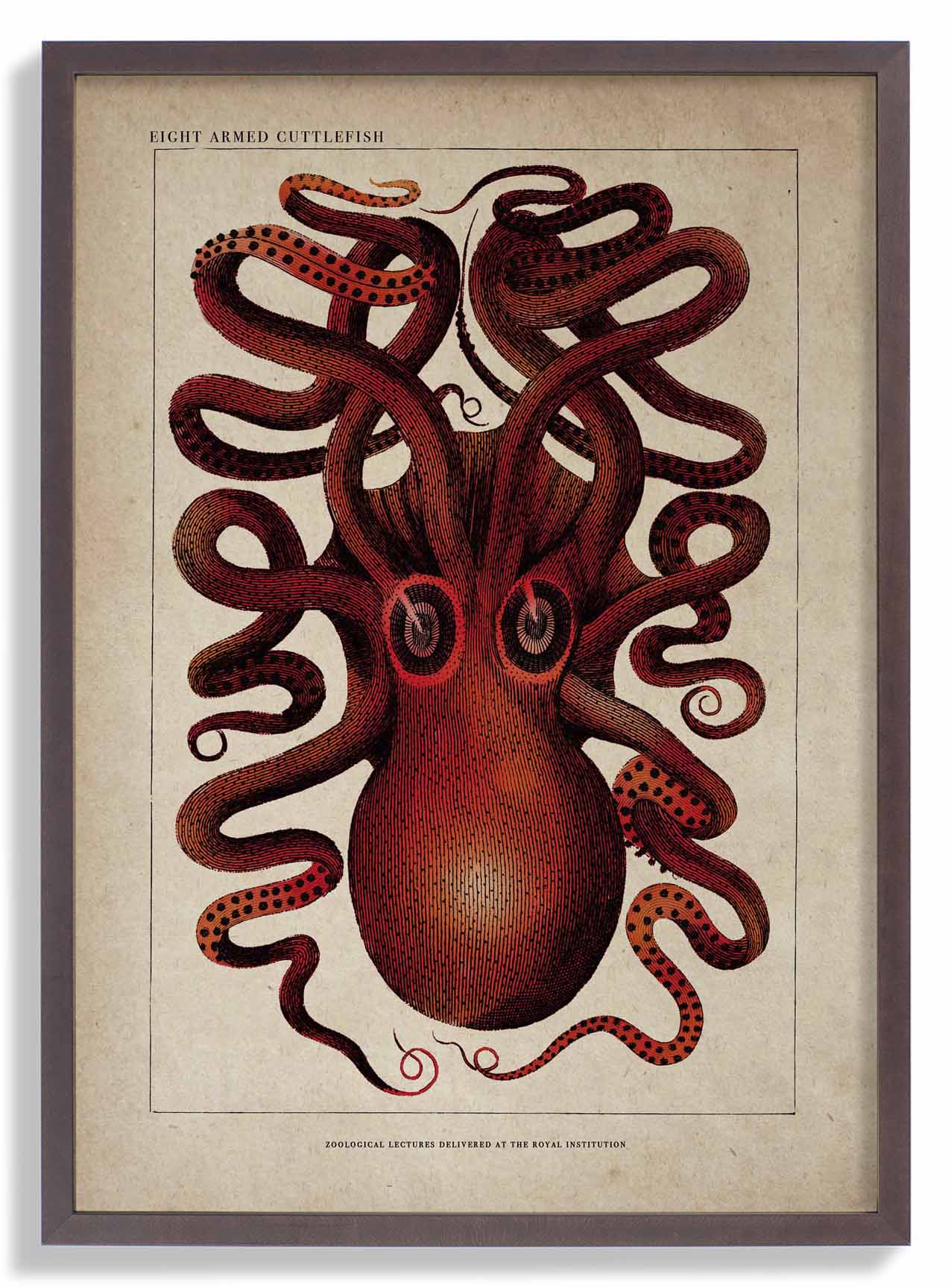 Antiker roter Oktopus