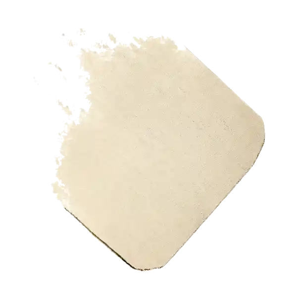 Perfect Match Puder 2.N Vanille