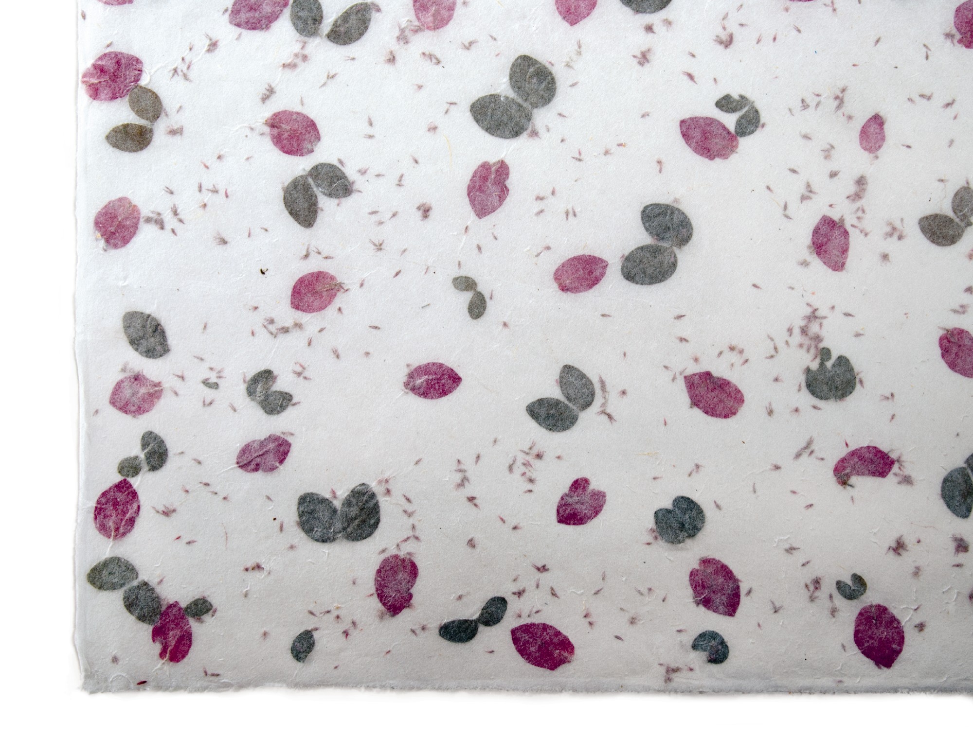 Geschenkpapier Herbst, weiß, multicolor, T 79 cm, B 53 cm günstig bestellen