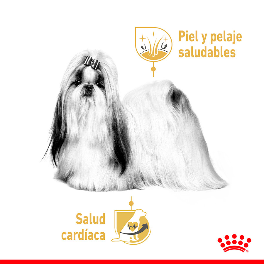 Royal Canin Adulto Shih Tzu Patê