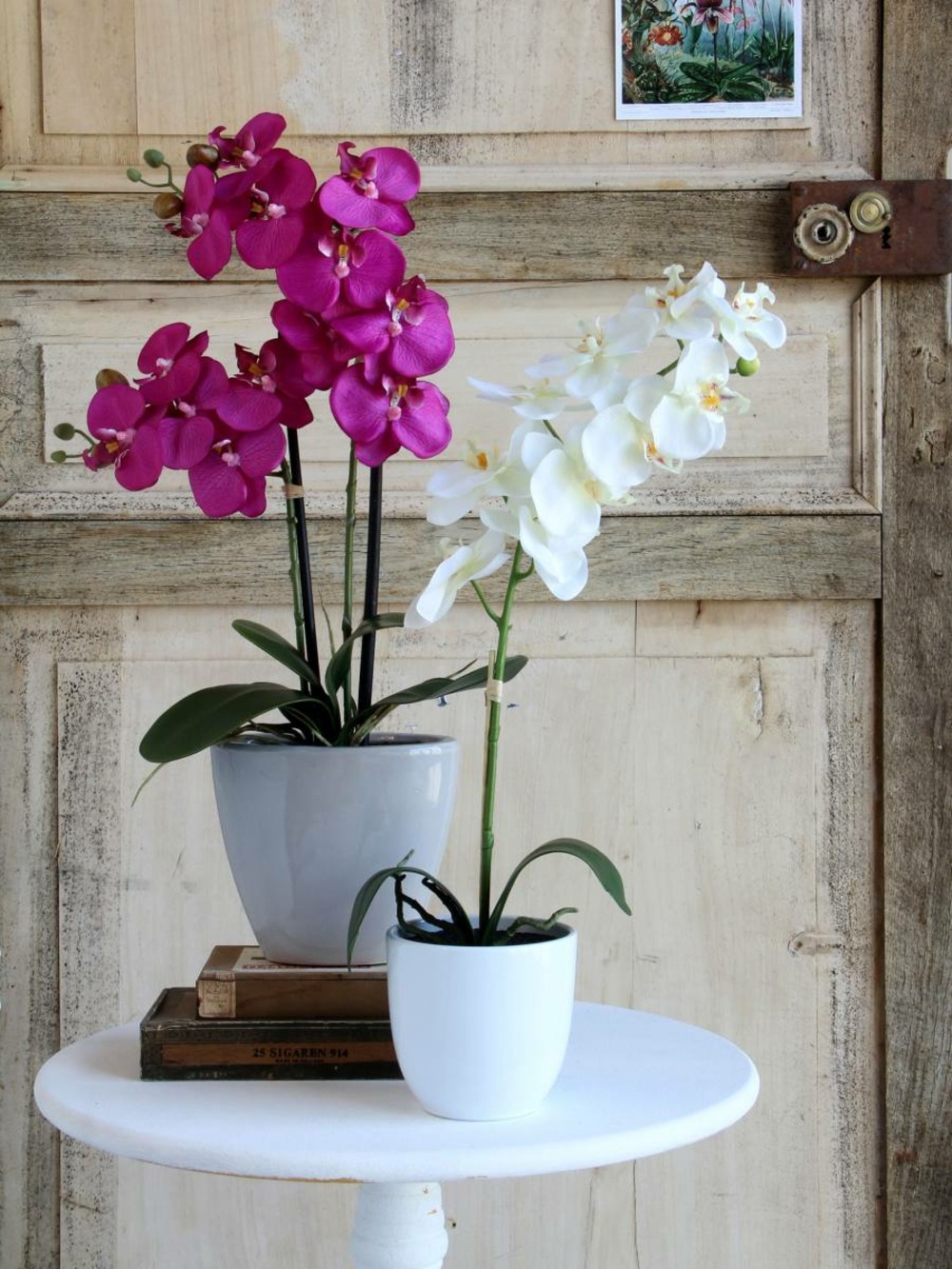 Orchidée artificielle blanche en pot h60