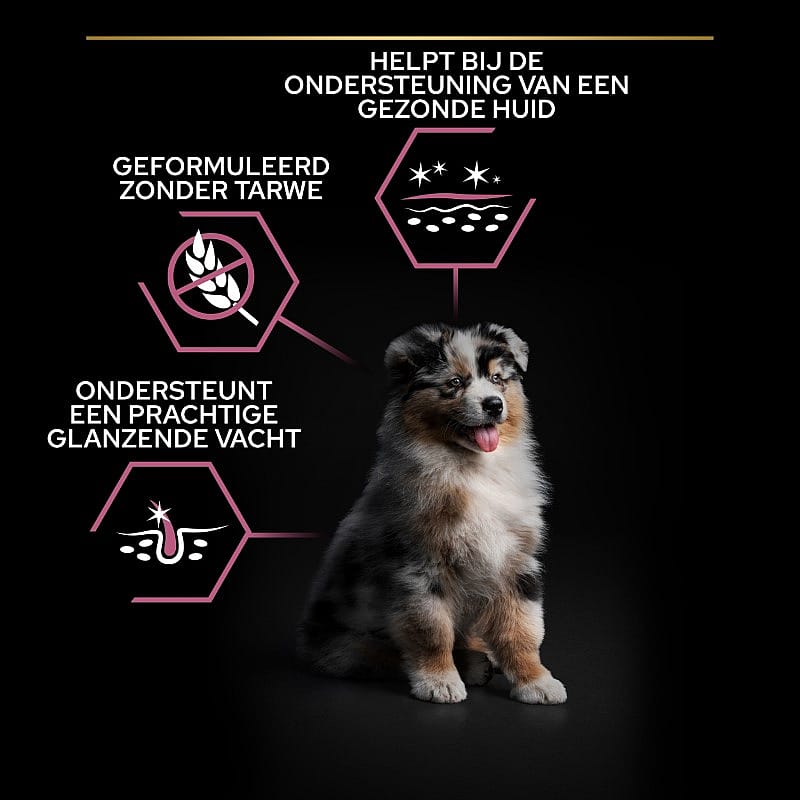 Purina Pro Plan Medium Puppy Sensitive Skin Hondenvoer Zalm 12 kg | 12817
