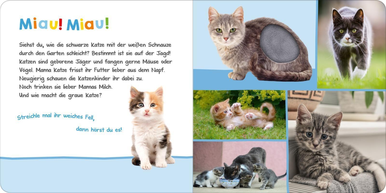 Hör mal rein, wer kann das sein? - Haustiere