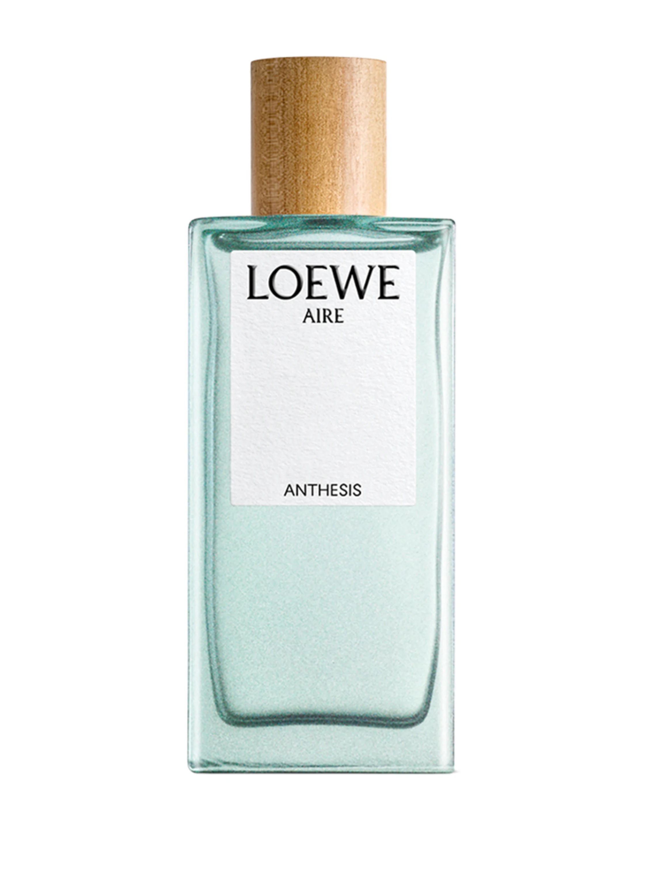 LOEWE AIRE ANTHESIS