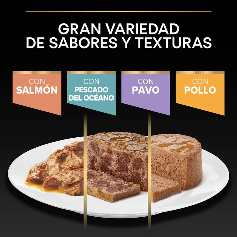 Pro Plan Delicate Digestion com Peru ao Molho para Gatos