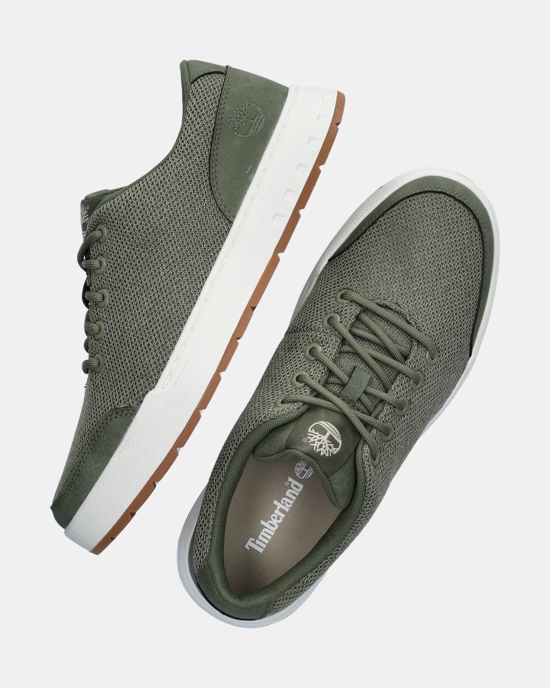 Timberland Maple Grove Lage sneakers  - groen