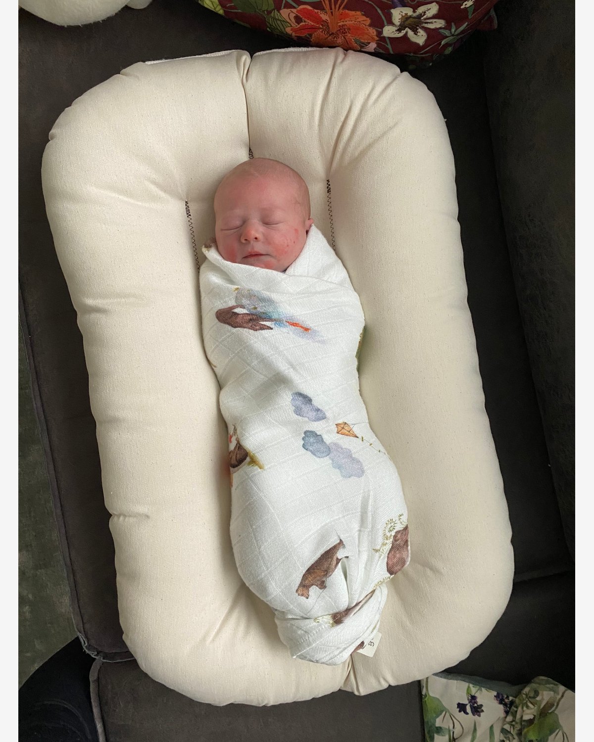 Babynest Snuggle Me Organic | Infant Lounger