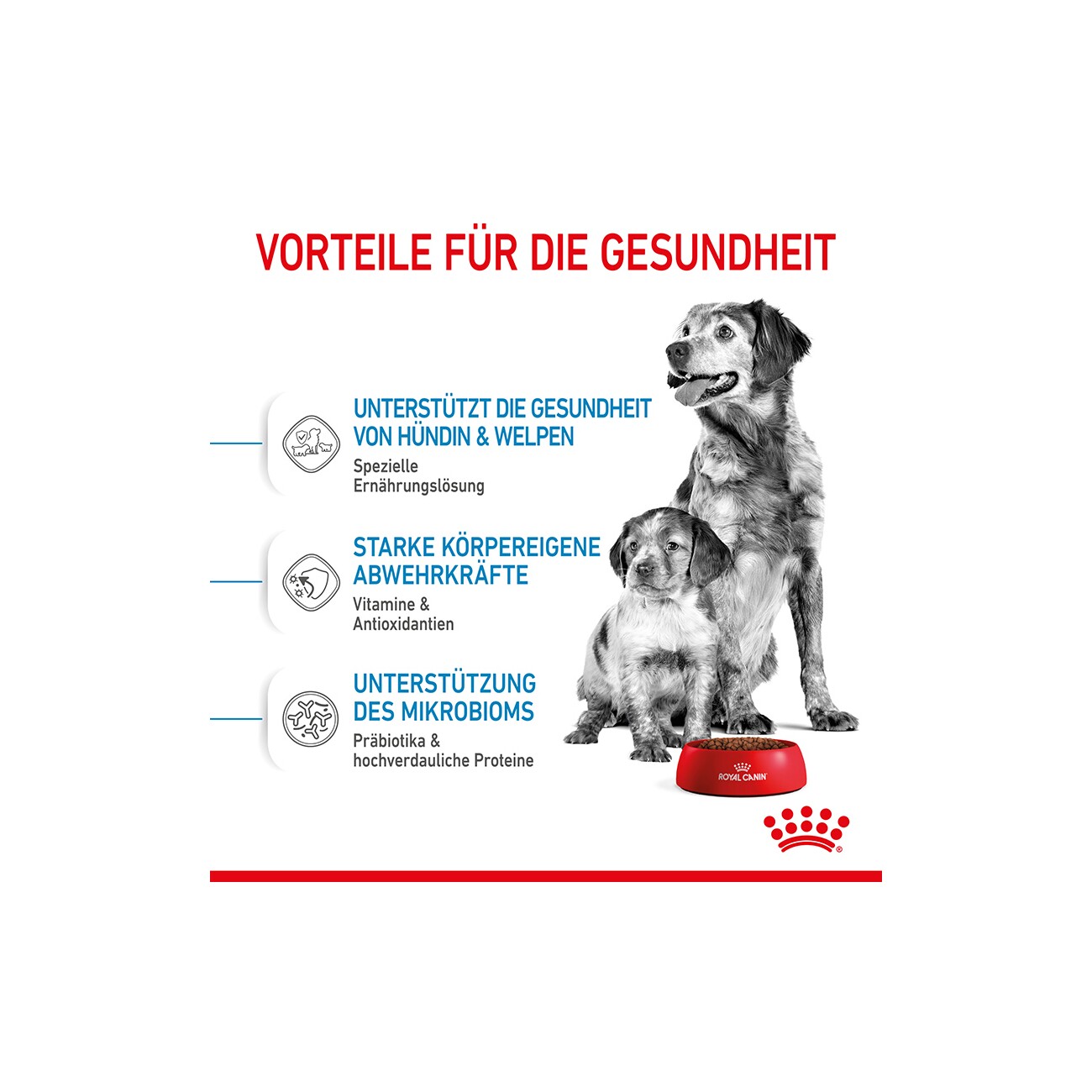 ROYAL CANIN Medium Starter 15 kg