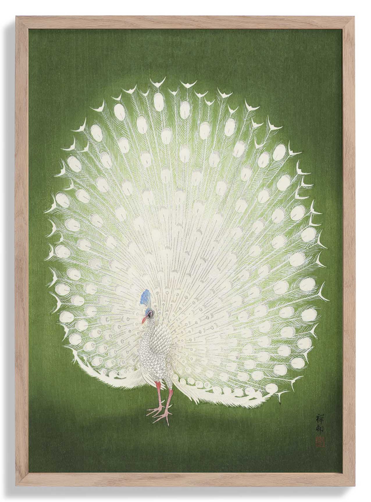 Grüner Pfau von Koson