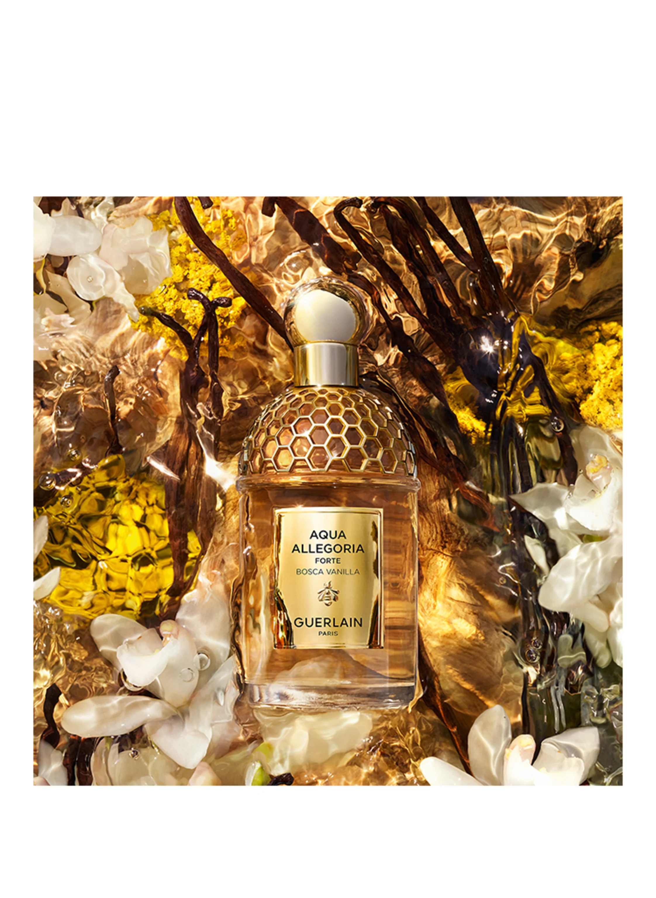 GUERLAIN AQUA ALLEGORIA FORTE BOSCA VANILLA