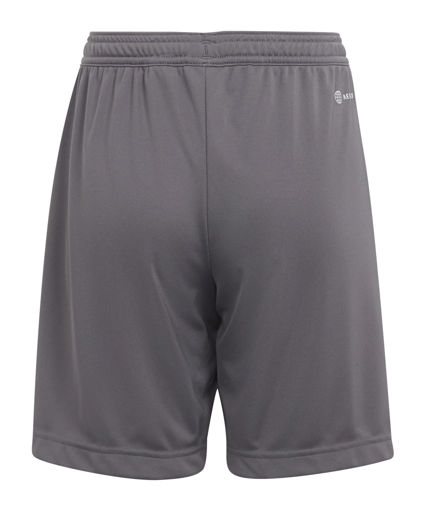 adidas Entrada 22 Short Kids Grau