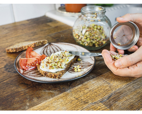 Kiempot mijn oogst incl. startersportie biologische zaden