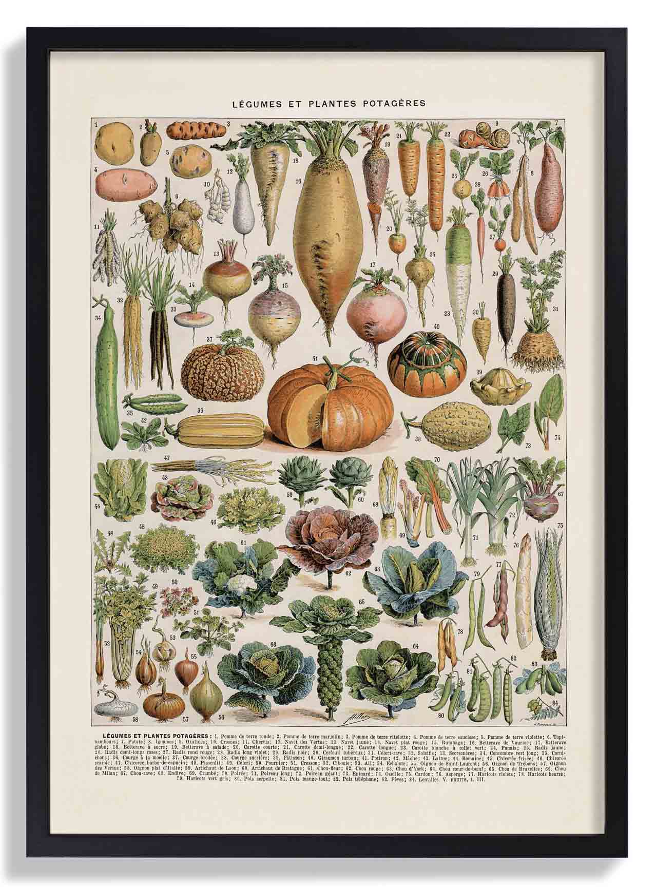 LÉGUMES etES POTAGÈRES