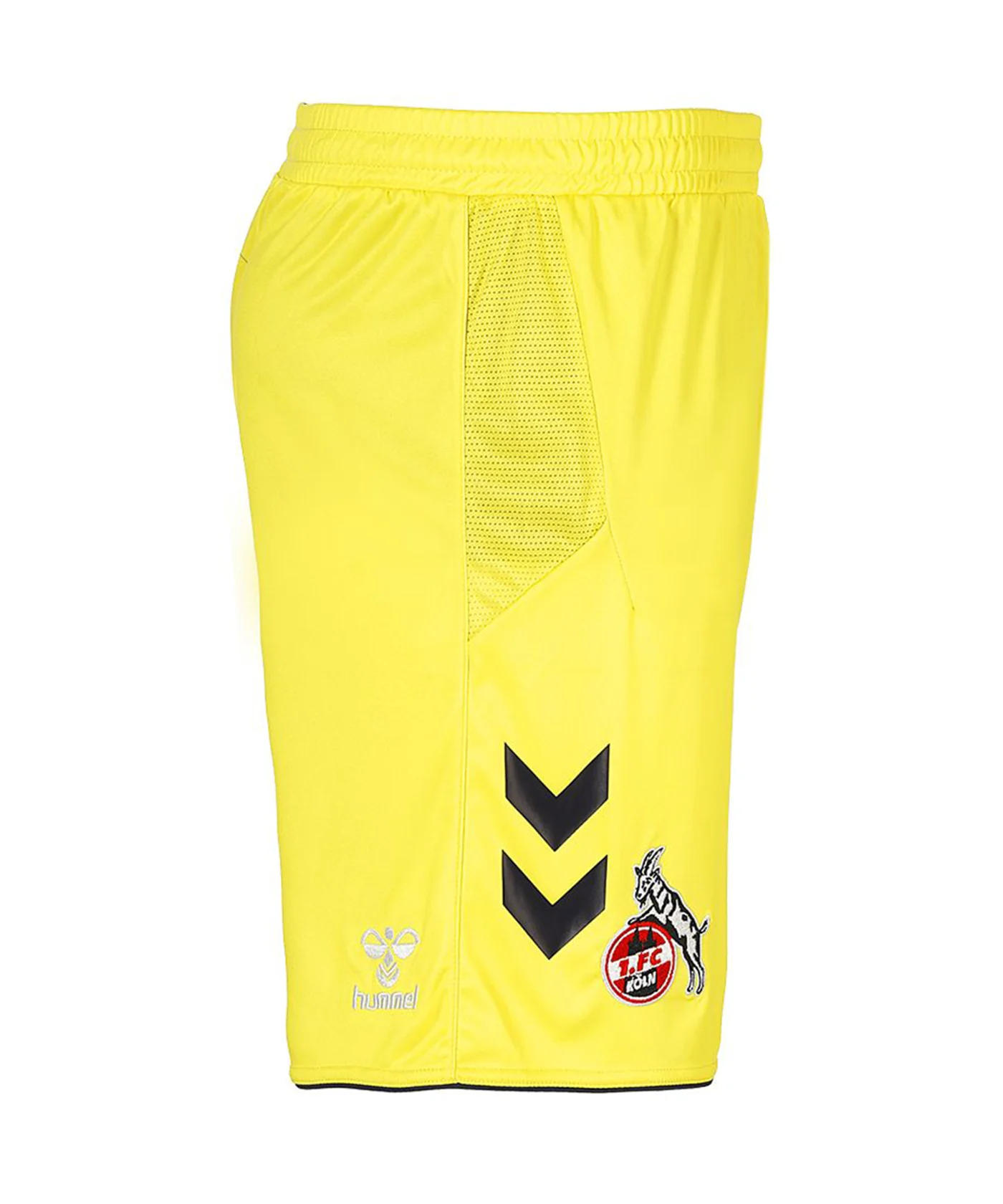 Hummel 1. FC Köln TW-Short 2022/2023 Gelb F5269
