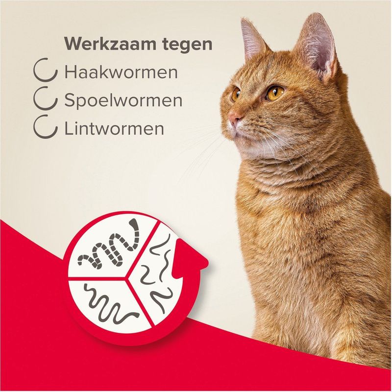 Beaphar All-in-one Ontworming Tabletten Kat Vanaf 1 kg 2 tabletten