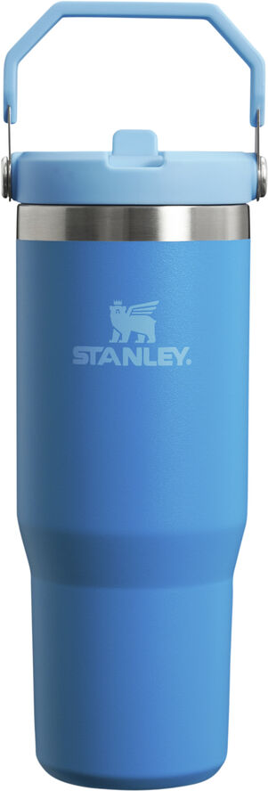Stanley IceFlow Flip Straw Tumbler 0. 89L