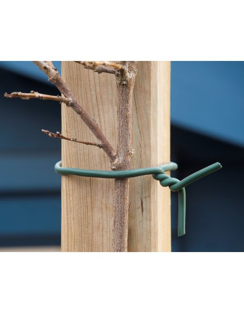 Nature Rubberband - Klim-En Geleide Artikel - 4.2x10x16.5 cm Groen 10 M