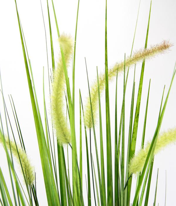 I.GE.A. Kunstpflanze Fuchsschwanzgras im Topf,