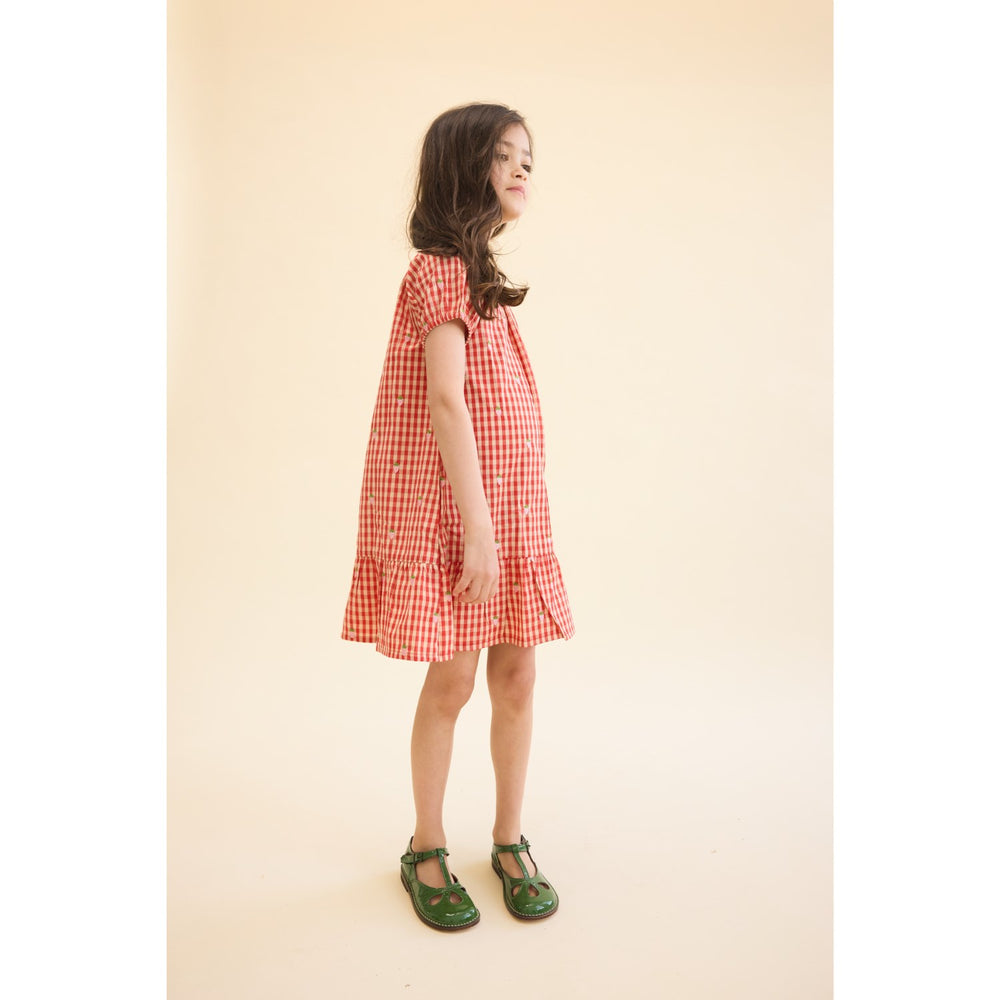 Køb Flöss Red-pink Berry Gingham Molly Pineberry Kjole