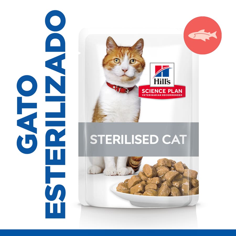 Hill's Science Plan Salmão jovem adulto esterilizado para gatos