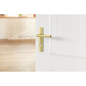 AXA deurkrukset Curve Milan goud blindschild sleutelgat PC72