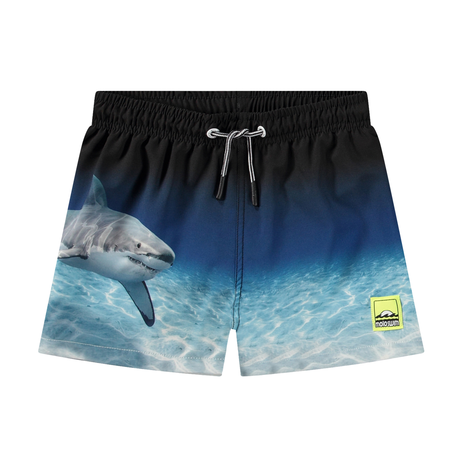 Niko - Faded Shark