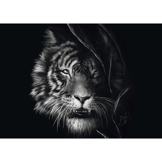 Puzzle - Ashley Rader - Wilderness - Tiger - 1000 Teile