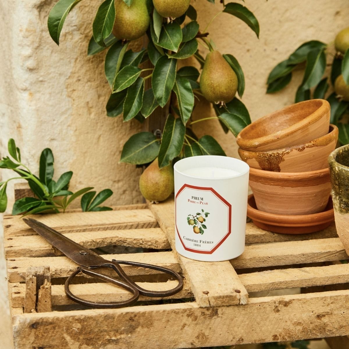 CARRIÈRE FRÈRES Poire - Pirum Bougie Parfumée