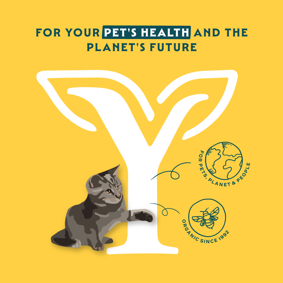 Yarrah - Bio Paté Kat - Kuipje - Kip en Rund