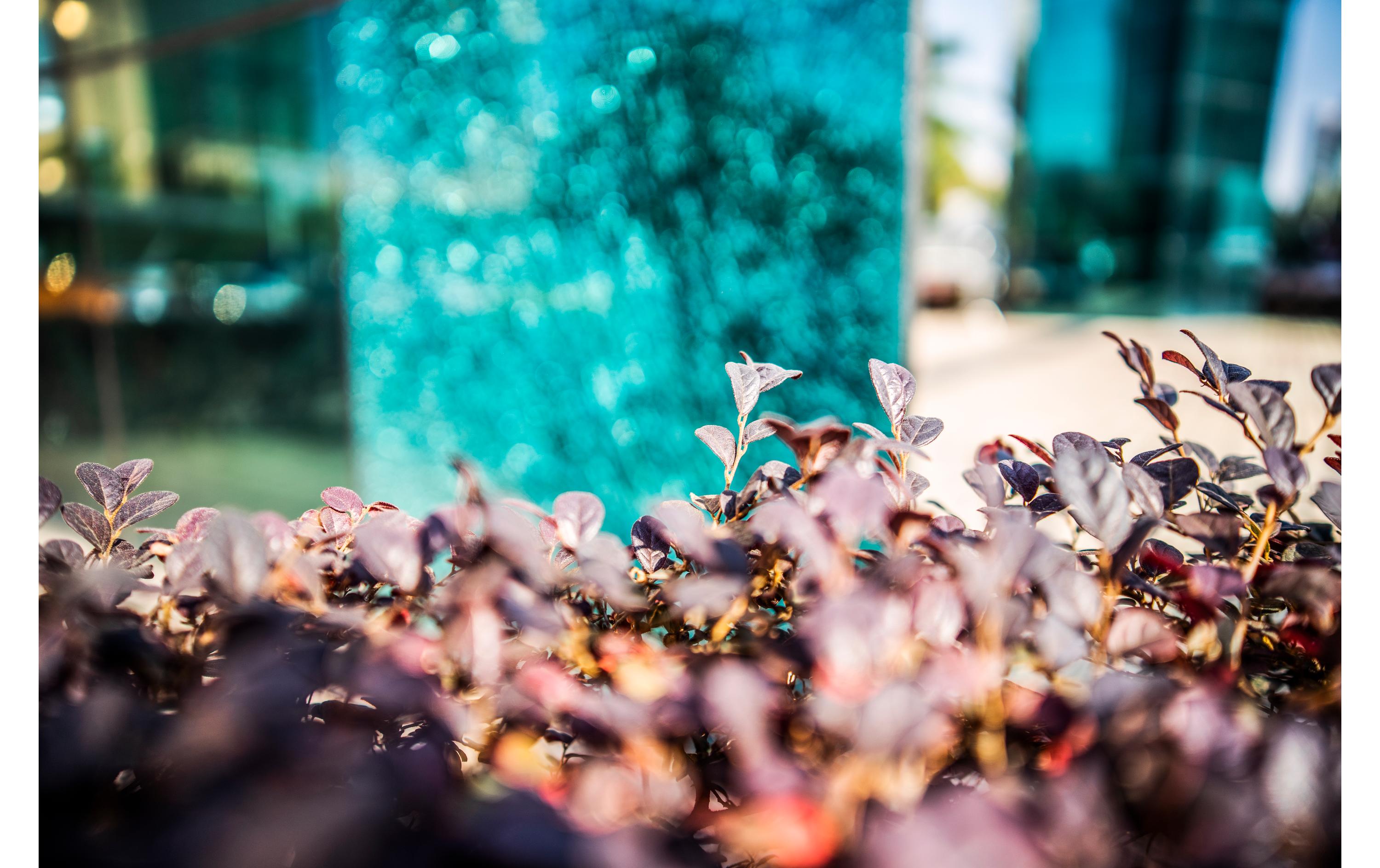 Festbrennweite AF 24mm F/1.8 – Sony E-Mount<br>Schmales Festbrennweitenobjektiv mit fantastischem Bokeh