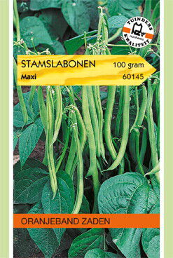 Oranjeband zaden Stamslabonen Maxi - Groentezaden - 100 Gram