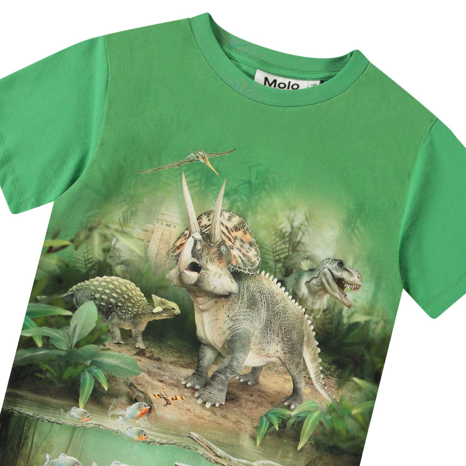 Riley - Jungle Dinos