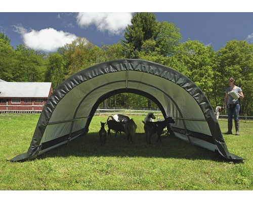 ShelterLogic weidetent 7,8 m² 260 x 300 cm groen