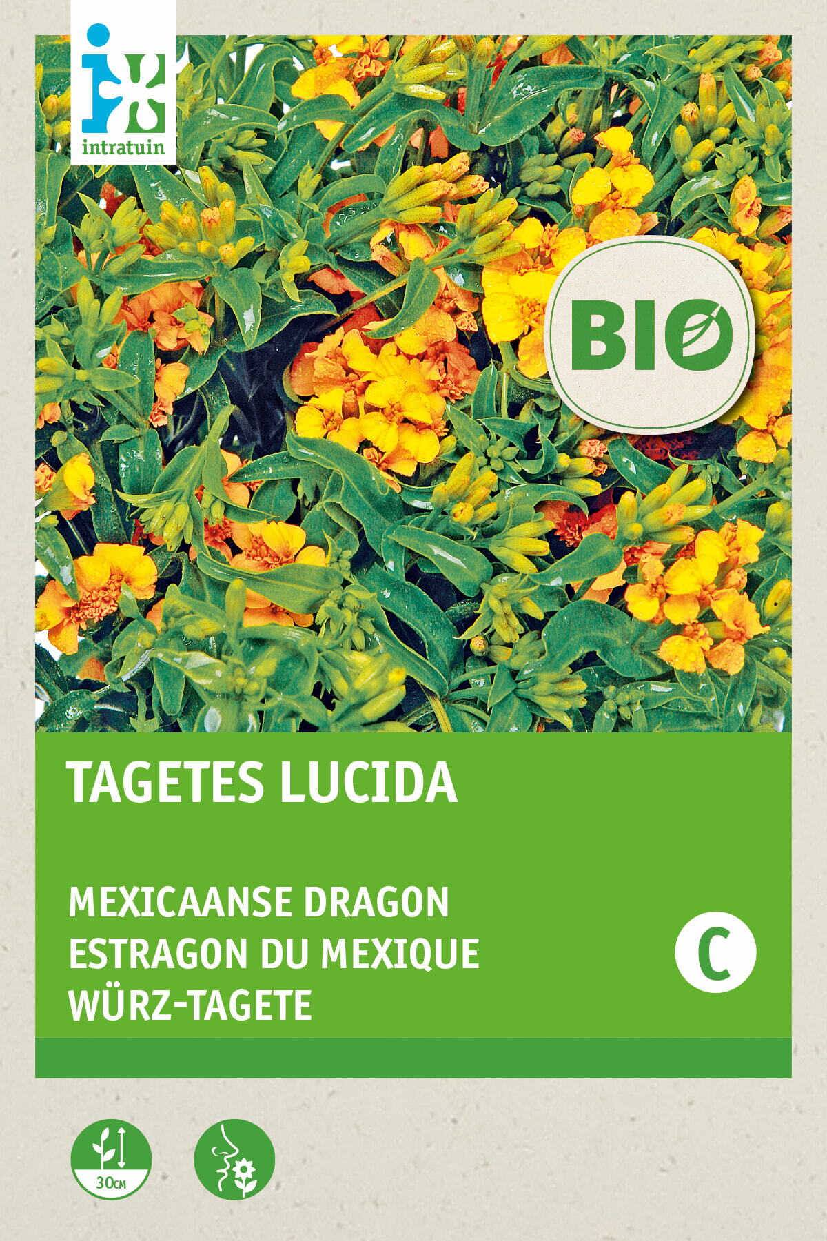 Biologische Intratuin kruidenzaad Mexicaanse Dragon (Tagetes lucida)
