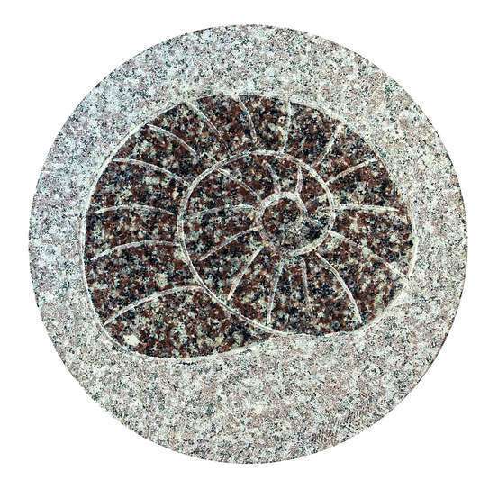 Pas de jardin fossile, en granit Ø 30 cm - Escargot