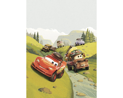 Fotobehang vliesbehang IADX4-034 Into Adventure Disney Cars Camping 4-delig. 200x280cm