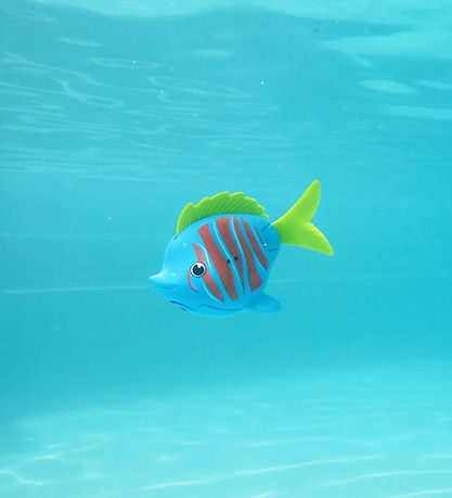 Schwimmwege Badespielzeug - Rainbow Reef - Guppie Goldberg