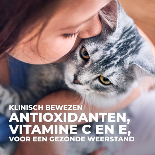 Hill's Science Plan Kitten - Kattenvoer - 1.5 Kilogram - kip