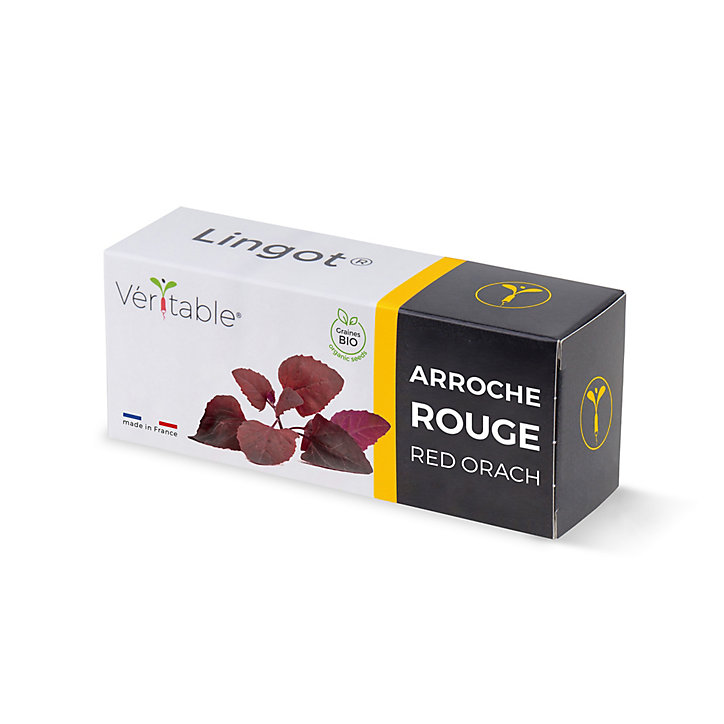 Lingot® Arroche rouge Bio pour potager Véritable®