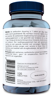 Orthica B-100 SR Tabletten - Vitamine B-Complex 120ST