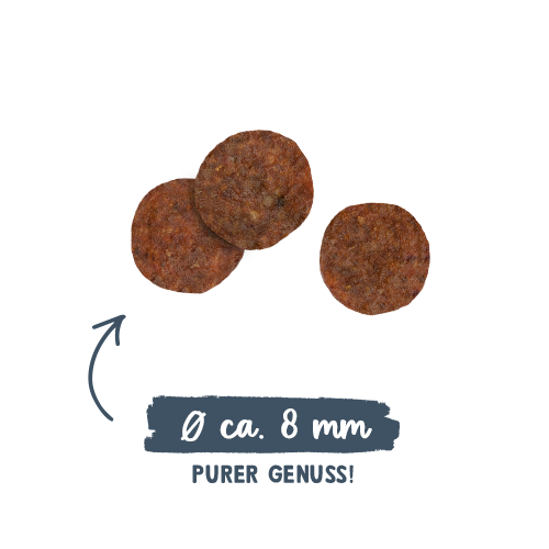 Sanabelle Adult - Forel