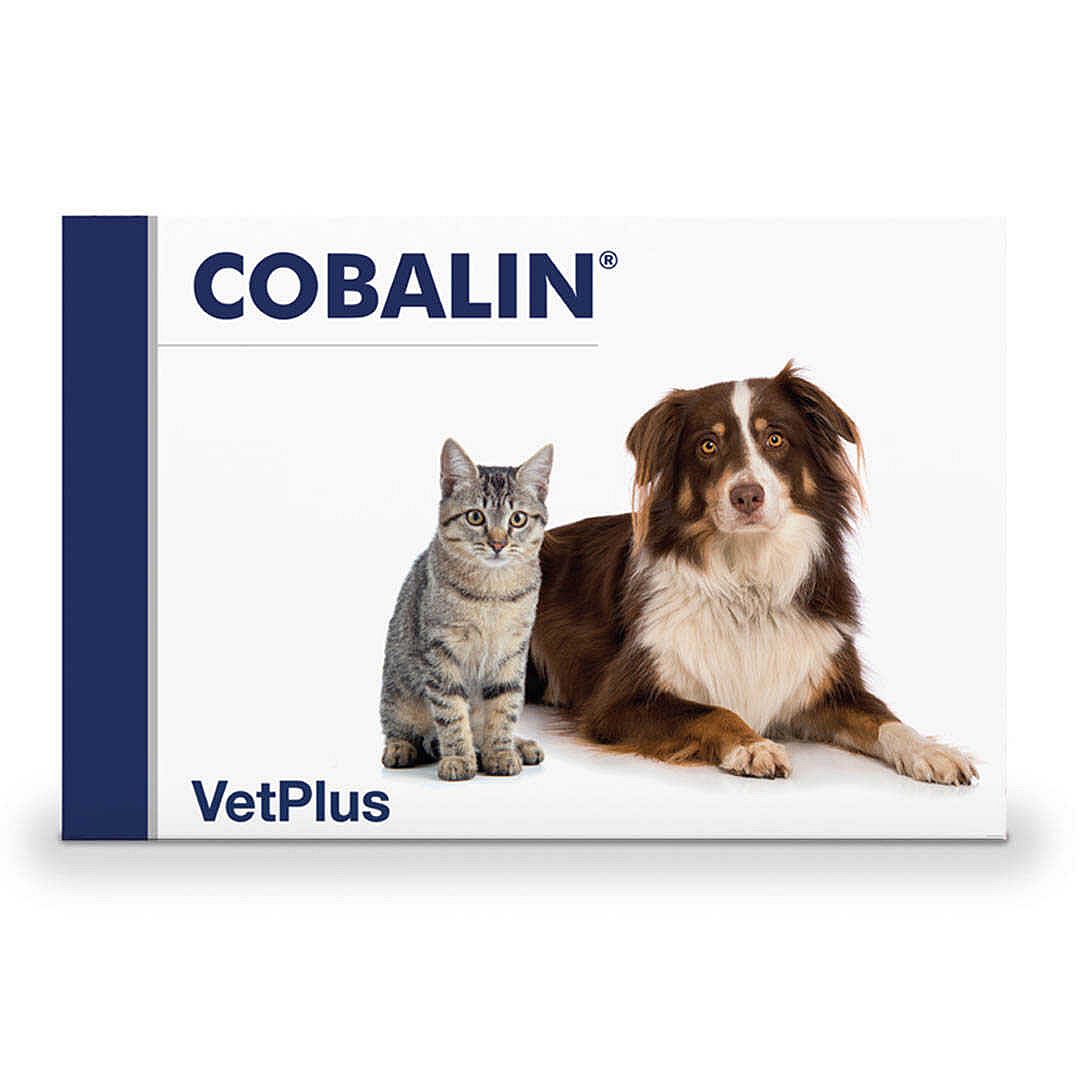 Vetplus Cobalin Vitamine B12 B9 Hond Kat 60 capsules | 13091